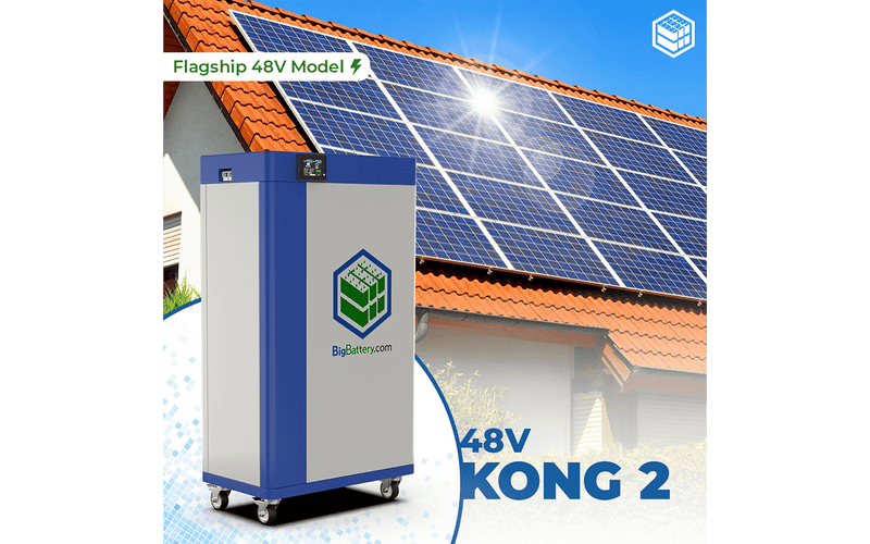 Big Battery | 48V 2X KONG 2 KIT | LiFePO4 | 466Ah | 24kWh