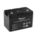 Renogy RBT100LFP12S-US 12V 100Ah Smart Lithium Iron Phosphate Battery New