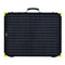 Rich Solar | MEGA 200 Watt Briefcase Portable Solar Charging Kit