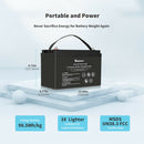 Renogy RBT100LFP12-BT-US 100Ah 12V Lithium Iron Phosphate Battery with Built-in Bluetooth BMS IP65 New